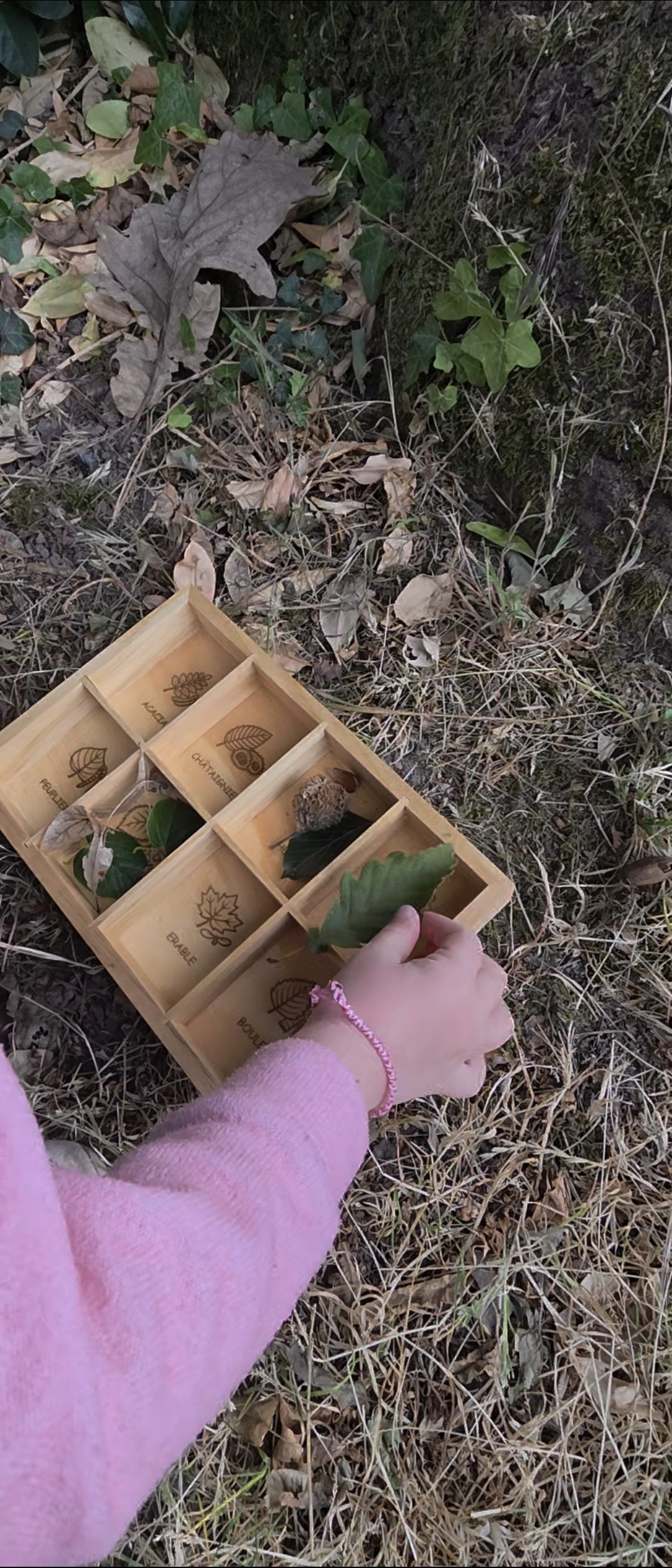 Ma fille cherche la bonne feuille pour sa boîte