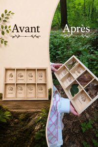 Boite de chasse aux trésors